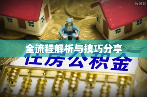岚县全流程解析与技巧分享